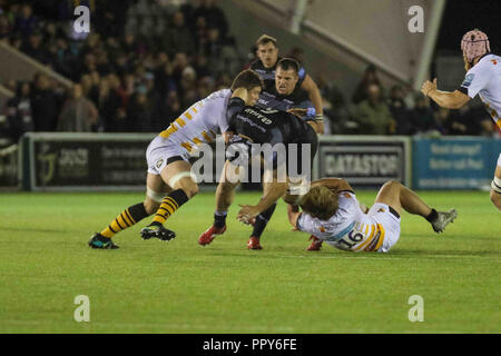 Newcastle, Regno Unito. Il 28 settembre 2018, Kingston Park, Newcastle, Inghilterra; Gallagher Premiership, Newcastle v vespe ; Gary Graham di Newcastle Falcons è affrontato Credito: Dan Cooke/News immagini Credito: News immagini /Alamy Live News Foto Stock