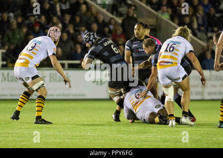 Newcastle, Regno Unito. Il 28 settembre 2018, Kingston Park, Newcastle, Inghilterra; Gallagher Premiership, Newcastle v vespe ; Gary Graham di Newcastle Falcons è affrontato Credito: Dan Cooke/News immagini Credito: News immagini /Alamy Live News Foto Stock