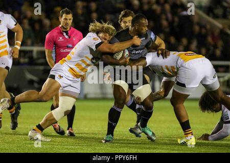 Newcastle, Regno Unito. Il 28 settembre 2018, Kingston Park, Newcastle, Inghilterra; Gallagher Premiership, Newcastle v vespe ; Vereniki Goneva di Newcastle Falcons è affrontato Credito: Dan Cooke/News immagini Credito: News immagini /Alamy Live News Foto Stock