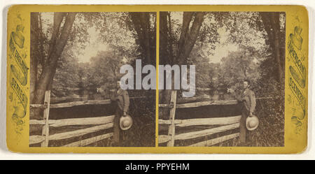 Vista al di sopra Hawkins ponte; Edward O. Waite, American, attivo 1880, 1870; albume silver stampa Foto Stock