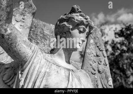 Angelo di pietra in un recinto. Foto Stock