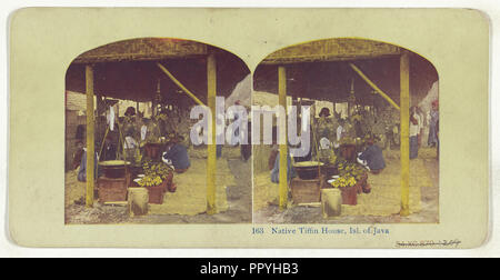 Tokyo, Giappone. In splendidi campi di Iris, recto, nativo di casa Tifflin, Isl. di Java, verso, circa 1900; colore mezzetinte Foto Stock