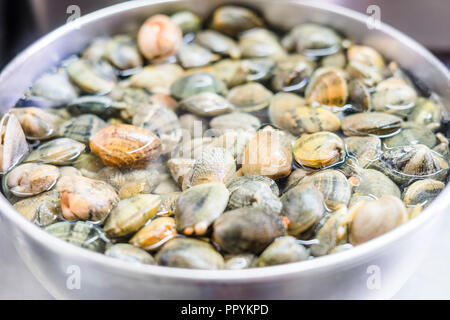 Alcune porzioni delle vongole in acqua in un recipiente di argento Foto Stock