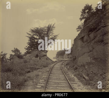 Cayuga Lake, Cat del gomito; William H. Rau, americano, 1855 - 1920, 1891 - 1895; albume silver stampa Foto Stock