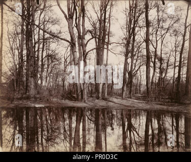 Saint-Cloud; Eugène Atget, francese, 1857 - 1927, Saint-Cloud, Francia; 1922; albume silver stampa Foto Stock