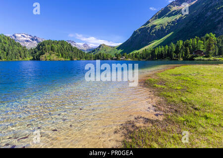 L'acqua chiara a lago Cavloc, Forno Valley, Maloja Pass, Engadina, Grigioni, Svizzera, Europa Foto Stock