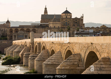 La cattedrale e la Grande Moschea di Cordova (Mezquita) e Ponte Romano al crepuscolo, Sito Patrimonio Mondiale dell'UNESCO, Cordoba, Andalusia, Spagna, Europa Foto Stock
