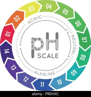 Scala PH del bilancio degli acidi alimentari, grafico con indicatori ...