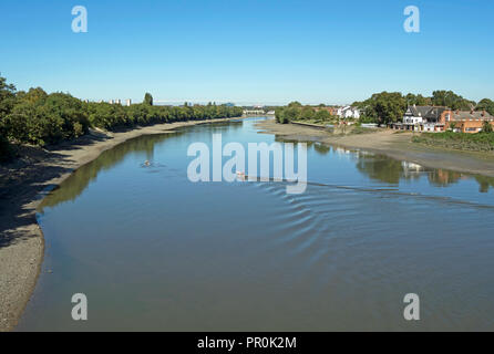 Un tranquillo fiume Tamigi con la bassa marea si vede guardando ad ovest di Chiswick Bridge con increspature fatta da un motoscafo scortando un lone rower Foto Stock