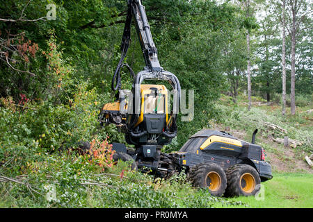 Trincia forestale Silvicoltura,veicolo lavora nella foresta con clearcutting una zona Foto Stock