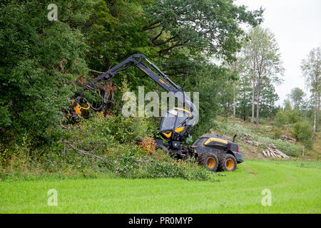 Trincia forestale Silvicoltura,veicolo lavora nella foresta con clearcutting una zona Foto Stock