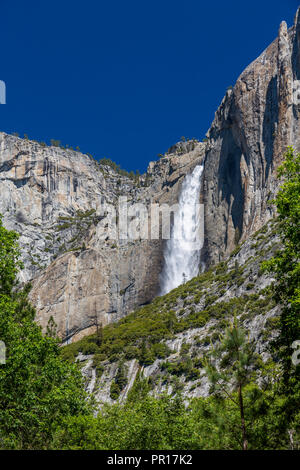 Vista di Yosemite Falls da il villaggio di Yosemite, del Parco Nazionale Yosemite, Sito Patrimonio Mondiale dell'UNESCO, California, Stati Uniti d'America, America del Nord Foto Stock