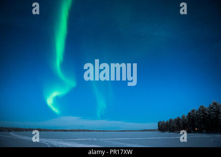 Aurora Boreale (Northern Lights), Pallas-Yllastunturi National Park, Lapponia, Finlandia, Europa Foto Stock