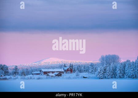 Alba sul Torassieppi congelati Lago, Lapponia, Finlandia, Europa Foto Stock