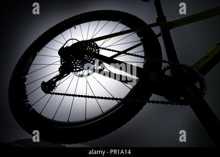 Ruota posteriore di una bicicletta con il deragliatore posteriore, la catena e la ruota dentata di denti. Foto Stock