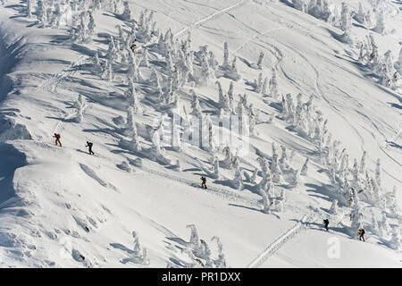 Gruppo di sciatori a camminare su una montagna innevata Foto Stock