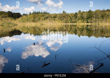 Lago Bøllemosen vicino a Skodsborg in Danimarca in autunno con calma acqua e cielo chiaro Foto Stock
