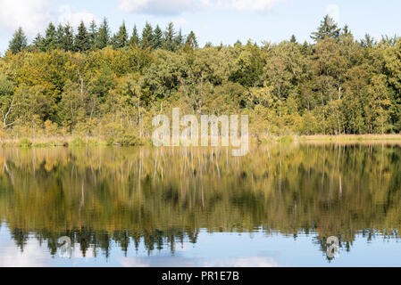 Lago Bøllemosen vicino a Skodsborg in Danimarca in autunno con calma acqua e cielo chiaro Foto Stock