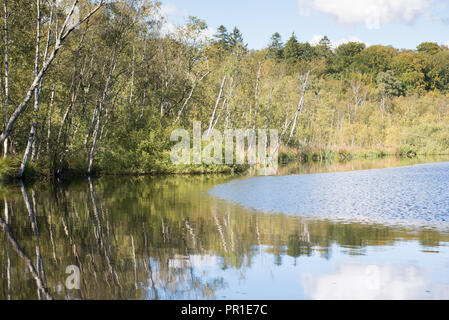 Lago Bøllemosen vicino a Skodsborg in Danimarca in autunno con calma acqua e cielo chiaro Foto Stock