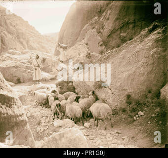 Serie di tredici selezionare diapositive di pastore vita, illustrante le venti terzo salmo. 'Surely di bontà e di misericordia". 1900 Foto Stock