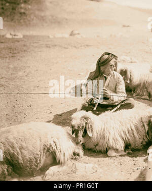 Xxiii salmo, pecore 1898 Foto Stock