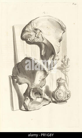 Nonagesimaenonae tabulae, Godefridi Bidloo, medicinae doctoris e chirurgi, Anatomia humani corporis: centum e quinque Foto Stock