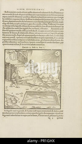 Pagina 461 Agricolae Georgii De re metallica: libri XII. Quibus officia, instrumenta, machinae, ac omnia deni, que, ad metallicam Foto Stock