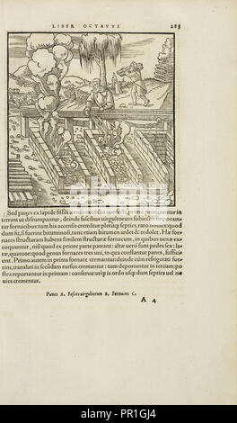 Pagina 283 Georgii Agricolae De re metallica: libri XII. Quibus officia, instrumenta, machinae, ac omnia deni, que, ad metallicam Foto Stock