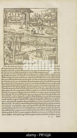 Pagina 269 Georgii Agricolae De re metallica: libri XII. Quibus officia, instrumenta, machinae, ac omnia deni, que, ad metallicam Foto Stock