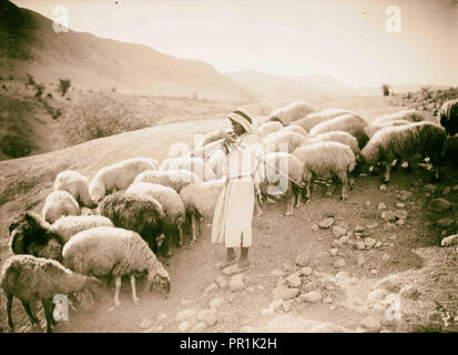 Agricoltura, ecc. Pastore scene. Scena pastorale nella valle del Giordano. Pastorello a giocare per le sue pecore. 1920 Foto Stock