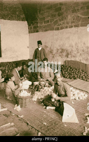 Jaffa. Imballaggio & esportazione di arance. 1898, Israele, Tel Aviv Foto Stock