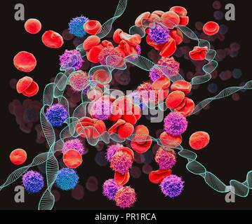 La leucemia, concettuale immagine composita. Microscopia elettronica a scansione (SEM) e computer immagine generata (CGI) del DNA (acido desossiribonucleico) molecole (eliche) e globuli rossi e bianchi. La leucemia è il cancro delle cellule bianche del sangue. Le leucemie sono causate da mutazioni nel DNA di cellule del sangue. Queste mutazioni genetiche cambiare il modo in cui le cellule del sangue a riprodurre e possono anche impedire loro di funzionare correttamente. Infine il anormale di cellule del sangue la folla fuori sano le cellule del sangue e può bloccare il midollo osseo da produrre più cellule sane. Foto Stock