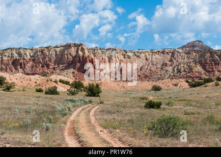 Strada sterrata con due tracce della curvatura nella distanza attraverso un prato erboso ad alte rocce rosse vicino Abiquiu, Nuovo Messico del sud-ovest americano Foto Stock