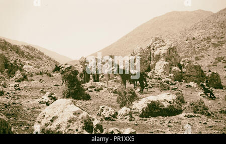 1925, Monte Hermon, anche Jabal al-Shaykh, Montagna del Sheikh o Jabal Haramun, il suo vertice a cavallo della frontiera tra Siria Foto Stock