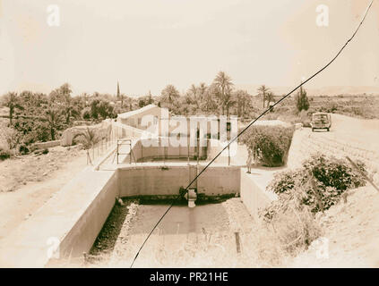 Fontana di Eliseo, Gerico, prese apr. 30, '44, West Bank, Gerico, Medio Oriente Foto Stock