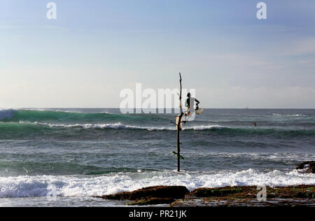Sri Lanka stick pescatore per la cattura di pesce in Koggala, Sri Lanka Foto Stock