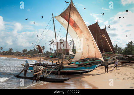Outrigger tradizionale vela barche di pescatori sulla spiaggia di Negombo, Sri Lanka Foto Stock