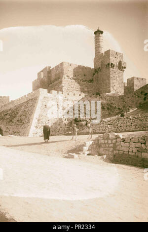 Cittadella di Sion. Gerusalemme. Un cammello. 1934, Gerusalemme, Israele Foto Stock