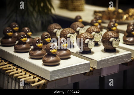 Tipica Belga cioccolato artigianale, prodotto tipico dettaglio alimentare belga in Europa Foto Stock