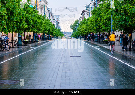 Vilnius, Lituania - 17 Maggio 2014: Centro della Città di Vilnius. Wet Gediminas Avenue dopo la molla pesante pioggia. Dopo un ora di questa primavera la città c Foto Stock