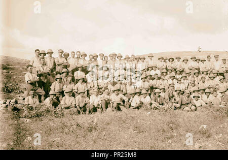 Batteria della 53a divisione, 1918, Medio Oriente, Israele e/o la Palestina Foto Stock