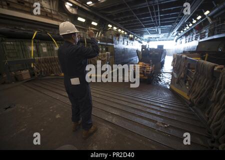 CORAL SEA (24 luglio 2017) Sgt. Juan Vasquez, da San Jose, California, dirige veicoli marini off landing craft utility 1666 nel pozzetto deck di trasporto anfibio USS dock Green Bay (LPD 20) dopo il talismano di Saber 17. Talismano Saber è una biennale degli STATI UNITI - Australia esercizio bilaterale tenutosi al largo della costa australiana intende conseguire l'interoperabilità e rafforzare gli Stati Uniti-Australia alliance. Foto Stock