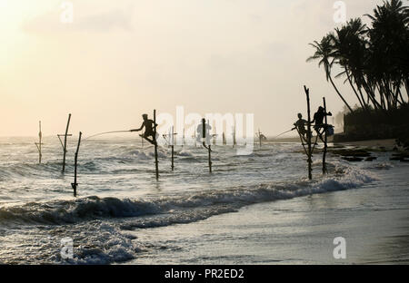 Il governo dello Sri Lanka stilt pescatori al tramonto in Koggala, Sri Lanka Foto Stock