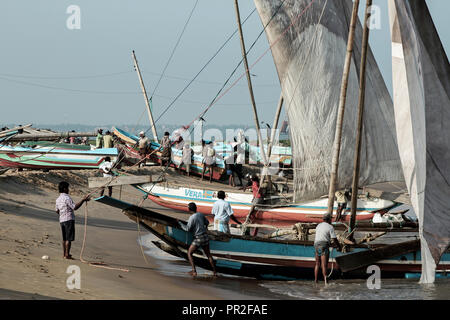 Barca a vela tradizionali barche da pesca a Negombo, Sri Lanka Foto Stock