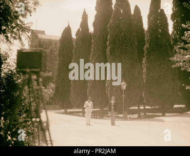 Università americana di Beirut, (A.U.B.). Campus che mostra i maestosi cipressi. 1920, Libano, Beirut Foto Stock