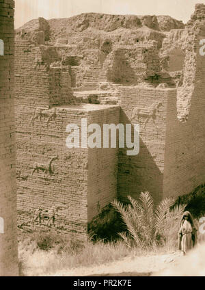 L'Iraq. Babilonia "grandi". varie viste del fatiscenti rovine. La porta di Ishtar che mostra bassorilievi più vicino. 1932, l'Iraq Foto Stock