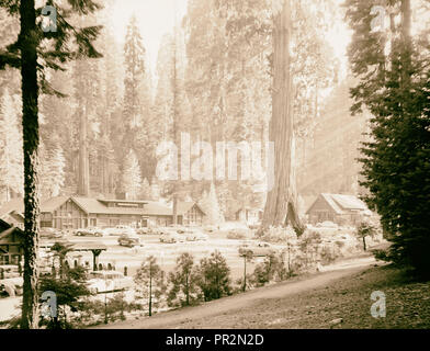 Parco Nazionale di Sequoia, Sett. Nel 1957 il villaggio con Sentinel Tree (Foresta Gigante Village) 1957, CALIFORNIA, STATI UNITI D'AMERICA Foto Stock