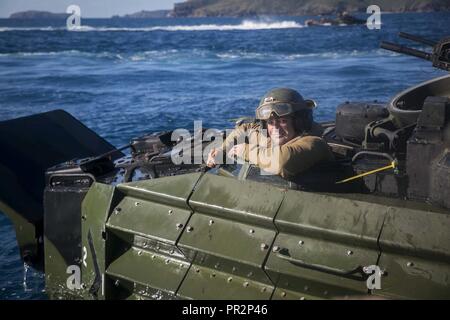 Il personale Sgt. Jesse S. Stevenson, un assalto veicolo anfibio sezione leader con India Company, battaglione atterraggio squadra, 3° Battaglione, 5 Marines, siede sulla cima di un AAV durante il recupero di acqua di formazione come parte dell esercizio talismano Saber 17 al largo della costa della spiaggia di acqua dolce, Shoalwater Bay Area Formazione, Queensland, Australia, 22 luglio 2017. Stevenson è un nativo di Eagle Point, Oregon. BLT 3/5, terra elemento di combattimento per la trentunesima Marine Expeditionary Unit, è esplorare lo stato dell'arte di concetti e tecnologie come la forza dedicato per mare Dragon 2025, un Marine Corps iniziativa di prepararsi per f Foto Stock