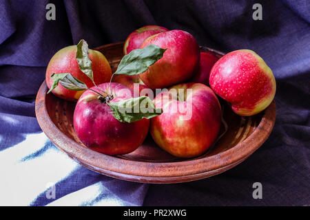 Homegrown mele rosse nel recipiente di argilla su sfondo scuro con luce solare, close up Foto Stock