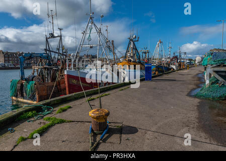 Barche da pesca ormeggiate nel porto di Campbeltown in Scozia Foto Stock